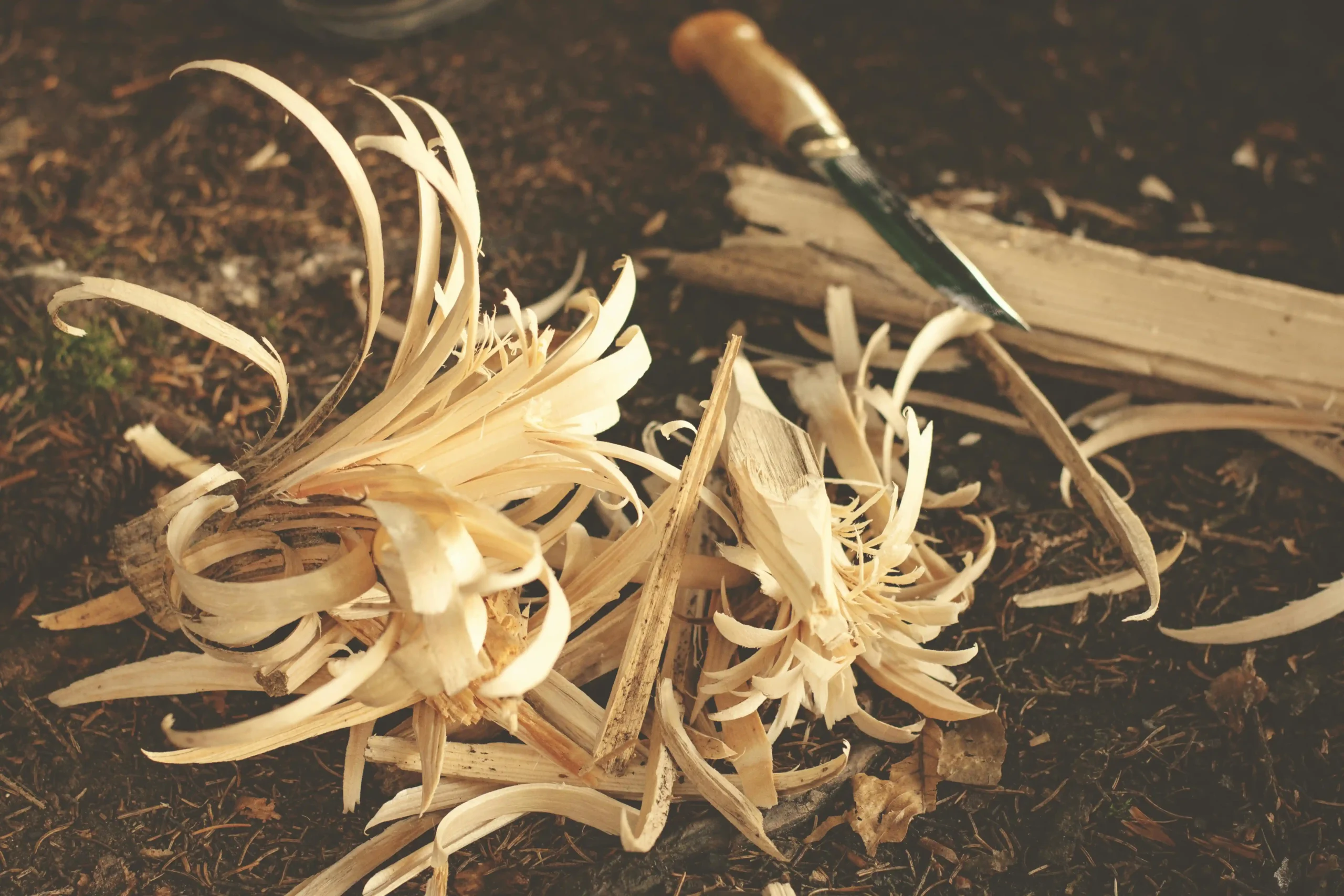 Virutas de madera y herramienta tradicional de carpintería que representan los orígenes de Monteverde Equipamientos